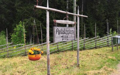 Apilakosken uudet verkkosivut ovat avautuneet